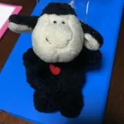 ひつじの画像