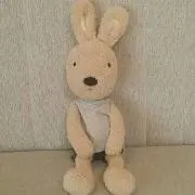 モカの画像