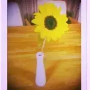 ちぃ