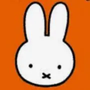 まる　断捨離中の画像