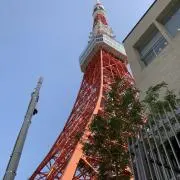 りなりんの画像