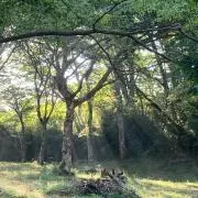 ひみかママの画像