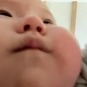 ふみの画像