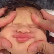 ハム