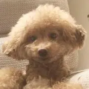 aaattの画像