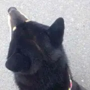 のん