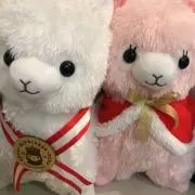 まぬの画像