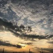 通りすがり