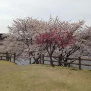 ひろ