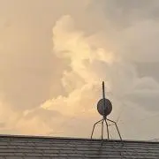 むぎの画像