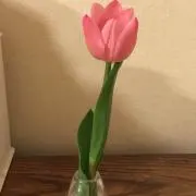 umebuuの画像