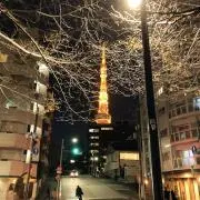 たわぷら