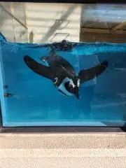 ゆか☆値下げについてはプロフ確認をの画像