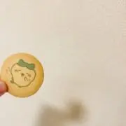 ちゃん ☻の画像