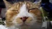 きら★