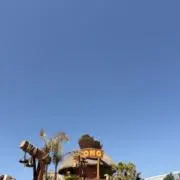 8の画像