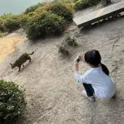 エムジーの画像