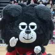 くまの画像