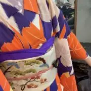 きのこの画像