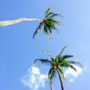 alohamiの画像