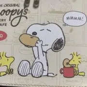 キクちゃんの画像