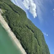 心愛の画像