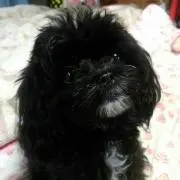 くぅ