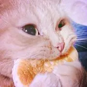 y☺︎の画像