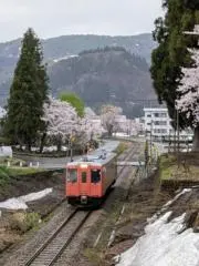 雅ラッキーの画像