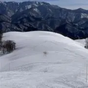 ミクリンの画像