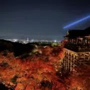 ぶり
