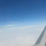 Mの画像