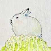 Sanetomoの画像