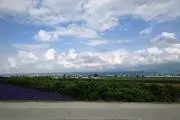 ベネチアンの画像