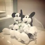 ぐるぐるしーまの画像
