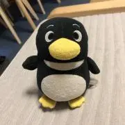ぺんの画像