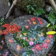 akの画像