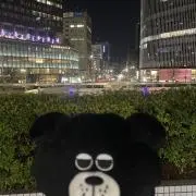 レイの画像