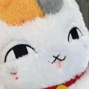 ぽんぽん【プロフ必読】の画像