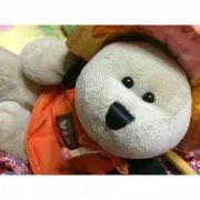 bearistaの画像