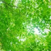 おまとめ割します^_^購入前プロフ必読☆の画像
