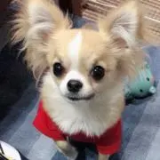 haru♪の画像