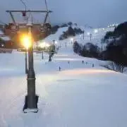 ぶーぶーの画像