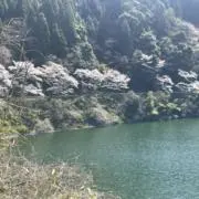 かいの画像