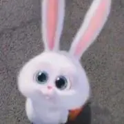 ミーちゃん★の画像