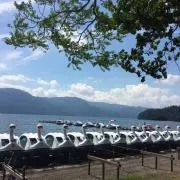 hirocueの画像