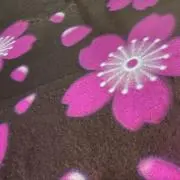 こゆき 24時間以内に発送♪の画像