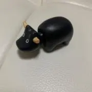 PIAの画像