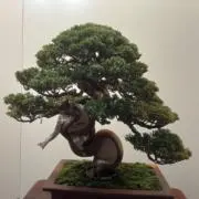 zob72の画像