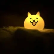 Sariの画像